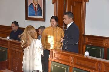 Pleno ordinario de enero de 2020 (Foto TA)